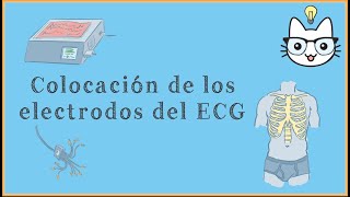 Colocación de electrodos del ECG [upl. by Malchy]