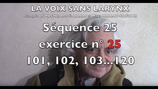 La voix sans larynx Séquence 25 Exercice n°25 101 102 [upl. by Hescock705]