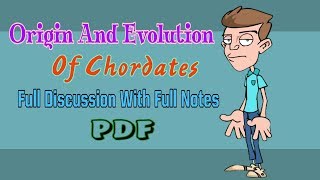 Chordates Origin And Evolution Full Notes With PDF [upl. by Adela134]