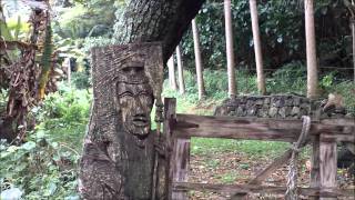 Waipio Valley Part 2wmv [upl. by Friedrich32]