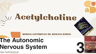 ACETYLCHOLINE  Cholinergic agonist  Pharmacology Lippincott Illustrated Reviews Series Katzung [upl. by Alol]