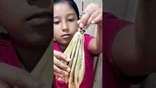 Baingan Pakora food cooking  baby cook [upl. by Tildi]