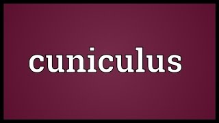 Cuniculus Meaning [upl. by Ennaylloh324]