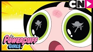 The Powerpuff Girls X The Rowdyruff Boys Tribute [upl. by Lucina974]