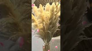 46quot inch 10 Stems White Pampas Grass Decor Tall Dry Flowers for Floor Vases httpsacod0dAzYyOV [upl. by Dorwin]