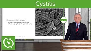 Cystitis Definition Causes and Epidemiology – Infectious Diseases  Lecturio [upl. by Aryl]