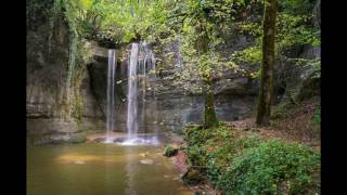 🍃Woda i Ptaki w Lesie 1  Odgłosy Natury Muzyka Relaksacyjna Tło Muzyczne🎧👍 [upl. by Renzo]