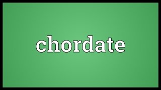 Chordate Meaning [upl. by Bowen]