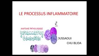 processus inflammatoire🤩 explication la plus claire 🤩 [upl. by Lurline]