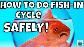 How to Do a Fish In Cycle the SAFE way NEW AND IMPROVED [upl. by Ttoille]