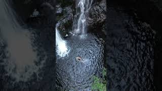 Wild Swimming in Galloway Forest Park [upl. by Eachern]