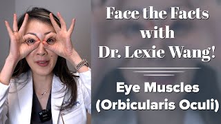 Eye Muscles Orbicularis Oculi  Face the Facts with Dr Lexie Wang  West End Plastic Surgery [upl. by Latnahc]