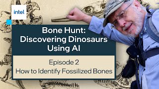 How to Identify Fossilized Bones  Bone Hunt Discovering Dinosaurs with AI  Intel Software [upl. by Nolahs]