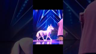 Americas Got Talent Unicorn  Horse 🦄 Magic😱😨  Duo SchumacherAGTamericagottalentmagic [upl. by Evita166]