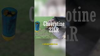 De la chevrotine avec de la 22lr [upl. by Mag]