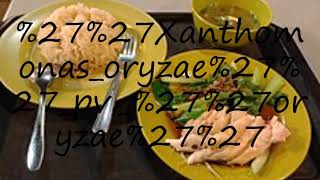 How to pronounce Xanthomonas oryzae pv oryzae [upl. by Ybeloc]