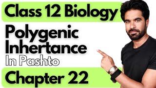 Polygenic Inheritance  Class 12th Biology  Chapter Inheritance [upl. by Jaylene]