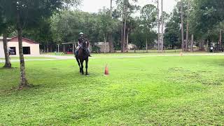 Delaney Langille and Moby July Horsemanship [upl. by Attenra]