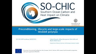 SO CHIC webinar Preconditioning lifecycle and largescale impacts of Weddell polynyas [upl. by Eilah]