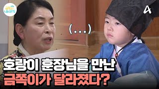 싸움 끝 행복 시작 화목한 가정을 위한 육아 지침서♥  요즘 육아 금쪽같은 내새끼 208 회 [upl. by Morell873]