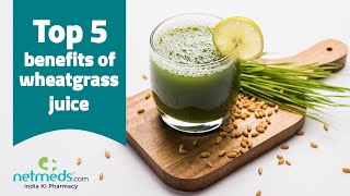 5 Important Benefits Of Wheatgrass Juice [upl. by Akcirred]