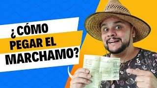 ¿Cómo pegar el marchamo correctamente [upl. by Allain]