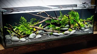 DIY STREAM Style Aquascape Low Tech [upl. by Soirtemed470]