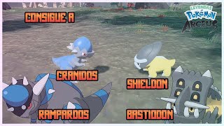 Como Conseguir A CRANIDOS RAMPARDOS SHIELDON Y BASTIODON En Leyendas Pokemon Arceus [upl. by Rizas]