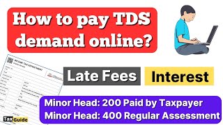 How to pay Late Fees of TDS return  How to pay TDS demand online  TDS Interest challan payment [upl. by Airdnola]