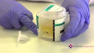 How To Drug Test Using a SureScreen Integrated Cup [upl. by Ynoyrb]