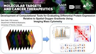 Development of Computational Tools for Evaluating Differential Protein Expression in IMC Images [upl. by Ardnauqal]