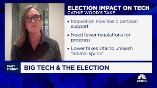 Investor Cathie Wood Election could accelerate shift to transformative tech [upl. by Waring775]