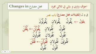 Ajwaf wawi amp yayi in Sulasi Mujarrad Urdui Lesson 622 اجوف ثلاثي مجرد کے ابوب میں فعل مضارع [upl. by Yllus795]