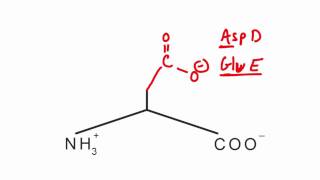 Memorize the 20 amino acids in 20 minutes Part 2 [upl. by Jain]