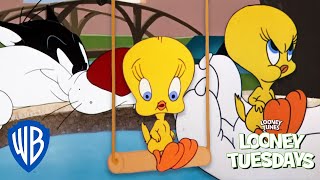 Looney Tuesdays  15 Times Tweety Almost Got Caught By Sylvester  Looney Tunes  WB Kids [upl. by Keverian429]