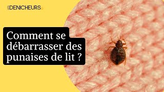 🕷️ Des punaises de lit dans la maison  les astuces pour sen débarrasser 🏡 [upl. by Kenzie]