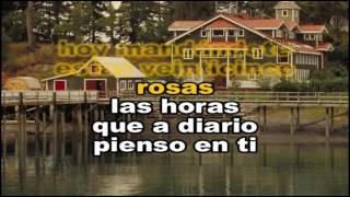 JOAN SEBASTIAN  25 ROSAS  KARAOKE [upl. by Ocnarfnaig]