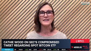 Ark Invest’s Cathie Wood On Bitcoin ETF amp Crypto Investing [upl. by Annawal632]