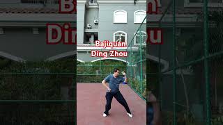 Bajiquan Ding Zhou sports motivation olahraga martialarts kungfu music [upl. by Llerdnek723]