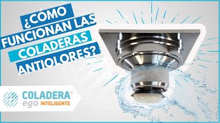 COLADERAS PARA BAÑO 🛀 Modernas  AntiOlores  AntiBichos 【2019】 [upl. by Archle473]