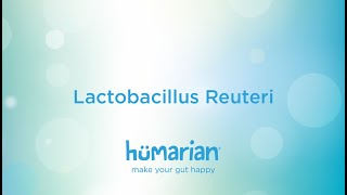 Lactobacillus Reuteri [upl. by Ueihttam972]