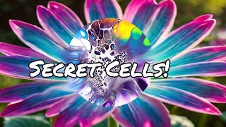 🪻🎆🪻 Silicone Technique The Secret to Stunning Vibrant Blooms [upl. by Bobine]