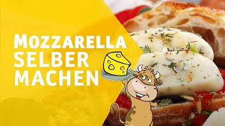 Mozzarella selber machen  In nur 1 Stunde [upl. by Claribel]