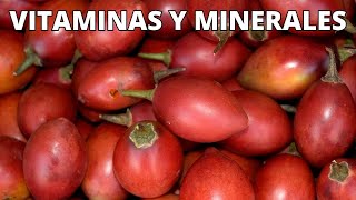 ¿Cuáles son las VITAMINAS y MINERALES del Tamarillo Beneficios y tipos de TAMARILLO [upl. by Eciuqram438]