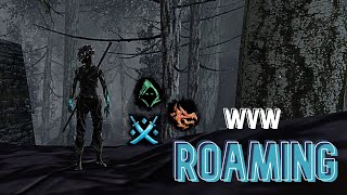 Gw2 WvW  Multiclass roamingoutnumbered [upl. by Calida]