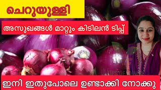 ചെറിയുള്ളി അത്ഭുതപ്പെടുത്തും ക്ഷീണം ചുമ മാറ്റും കഫം ഉരുക്കി കളയുംHealth Tips OTTAMOOLI Kitchentips [upl. by Secunda]