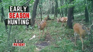 Early Season Whitetail Hunting Tips [upl. by Latsyrhc]