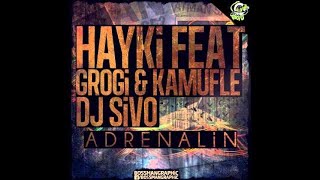 Hayki feat Grogi amp Kamufle  Adrenalin [upl. by Einhoj729]