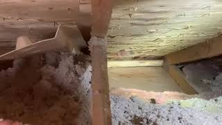 Cellulose On Top Of Fibreglass Insulation Problem [upl. by Rehoptsirhc]