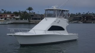 Luhrs 34 Convertible in the Marina Video by South Mountain Yachts 949 8422344 [upl. by Cherie166]